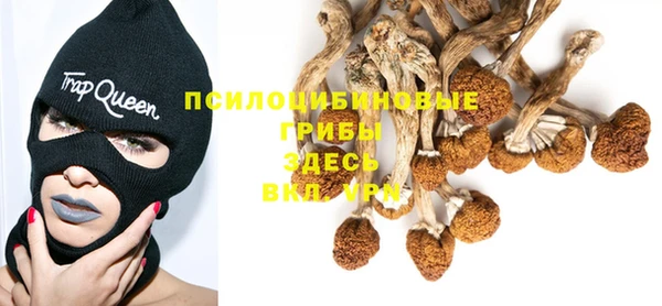 мдпв Арсеньев