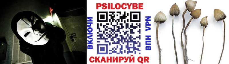 mega вход  Игарка  Псилоцибиновые грибы ЛСД  где купить наркоту 